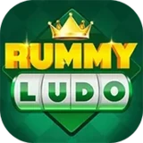 Rummy Ludo app logo